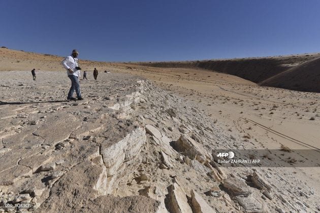 La péninsule arabique est aujourd’hui constituée de grands déserts peu accueillants, mais des scientifiques...