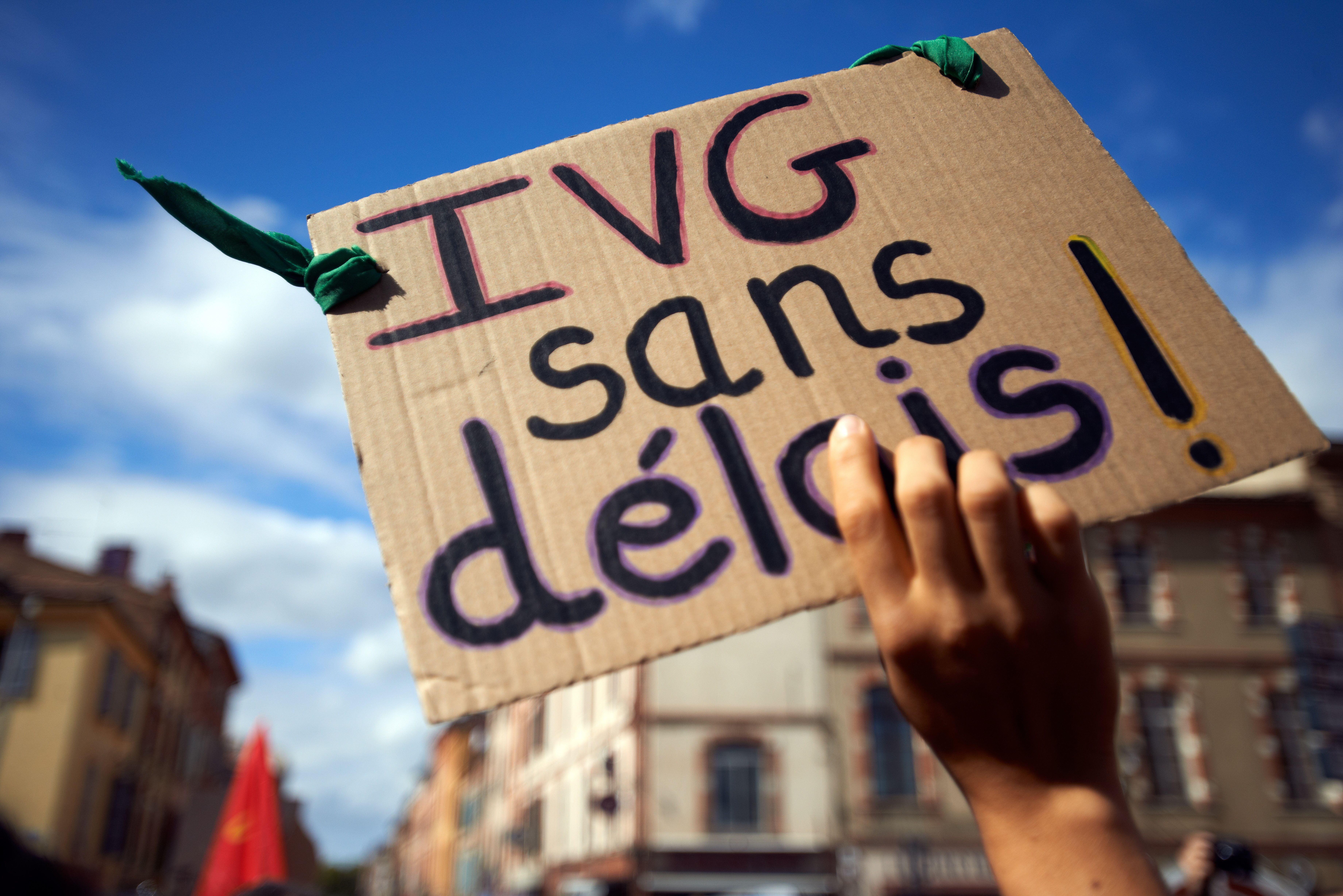Lors d'une manifestation à Toulouse en septembre 2019, les manifestantes réclamaient notamment...