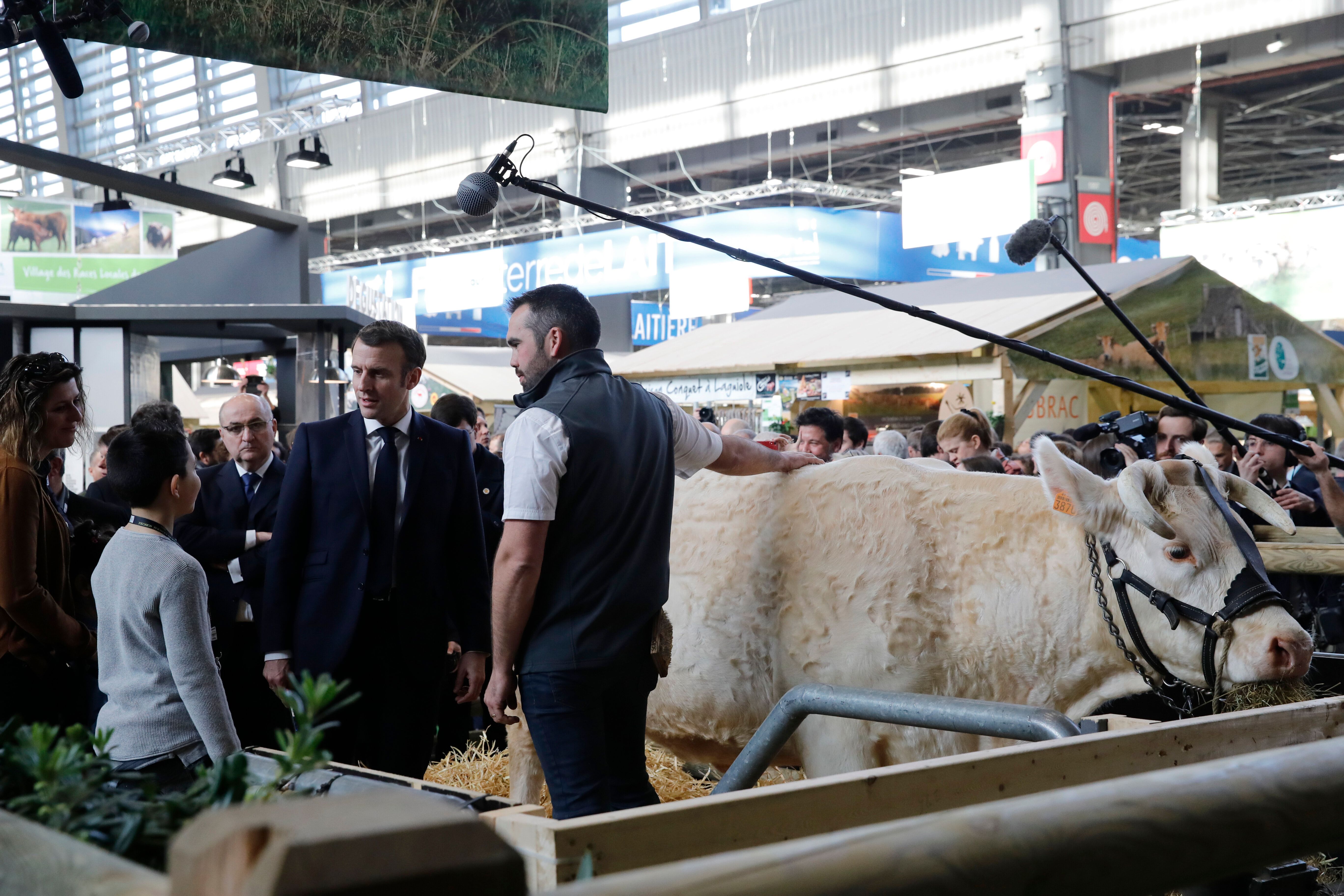 Le Salon de l'agriculture 2021 est annulé à cause du coronavirus (Image d'illustration: Emmanuel Macron...