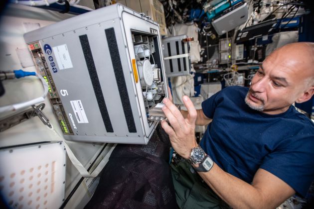 L'astronaute de l'ESA Luca Parmitano fait glisser les plus petits mineurs de l'univers dans le conteneur...