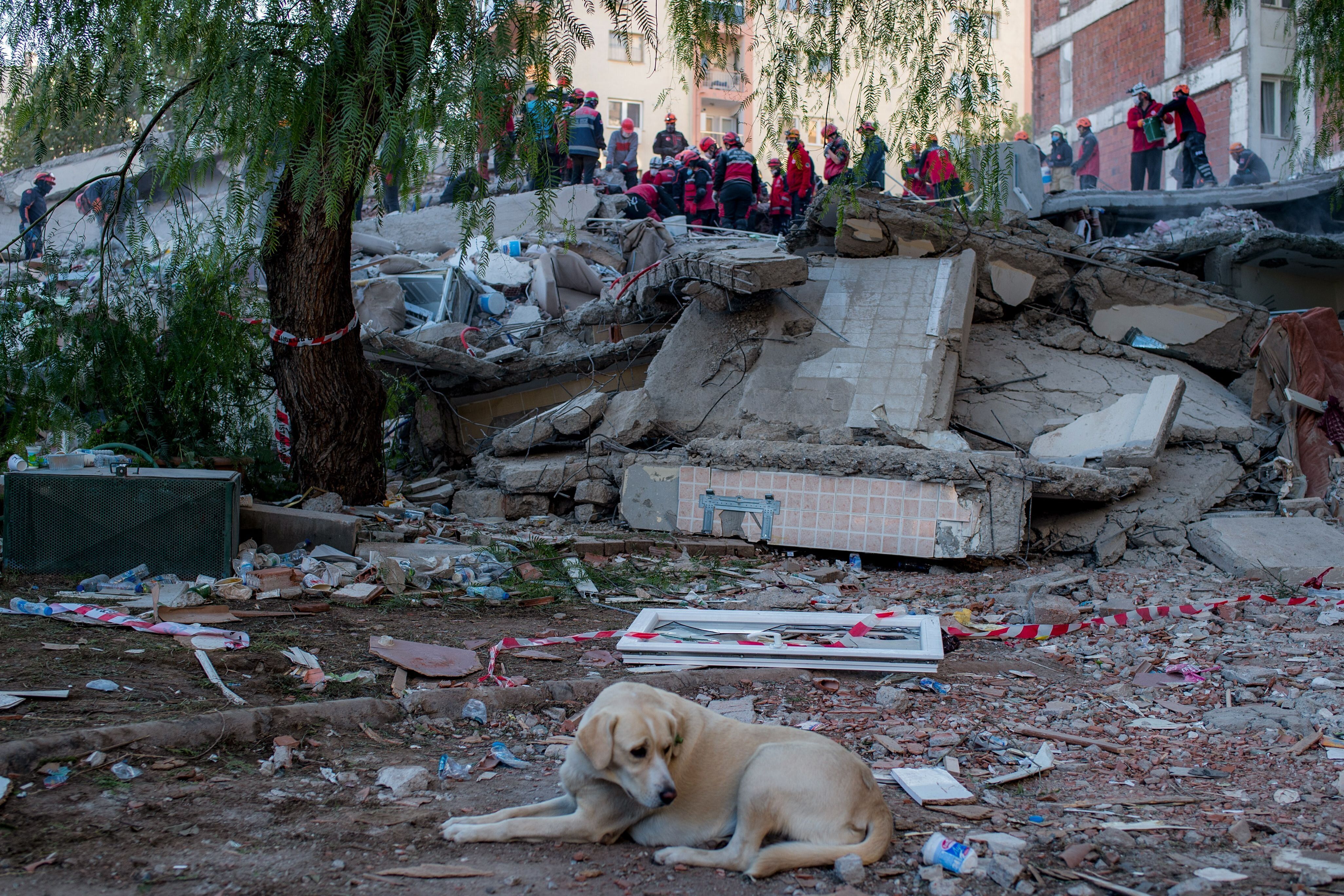 Le bilan du séisme s'alourdit en Turquie, une cinquantaine de morts (photo prise à Izmir...