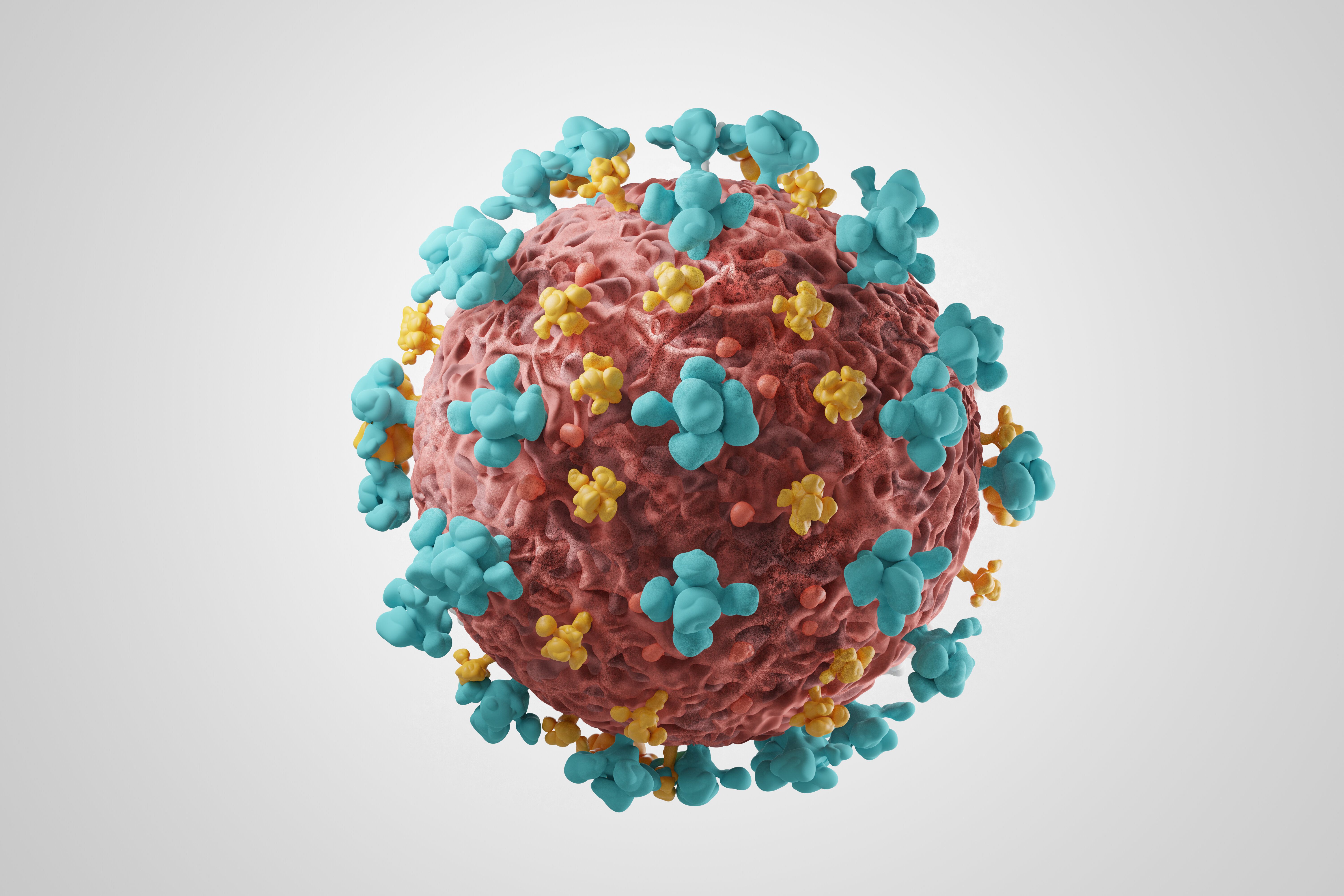 Deux variants du coronavirus avec des mutations nombreuses sont apparus quasi