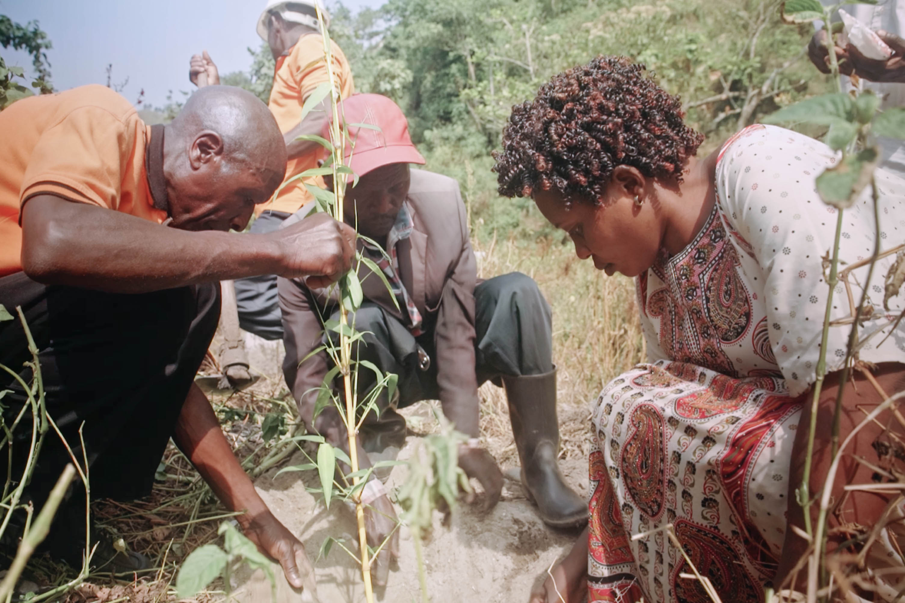 Ronah Masika plante des bambous le long de la rivière à Rwagimba.