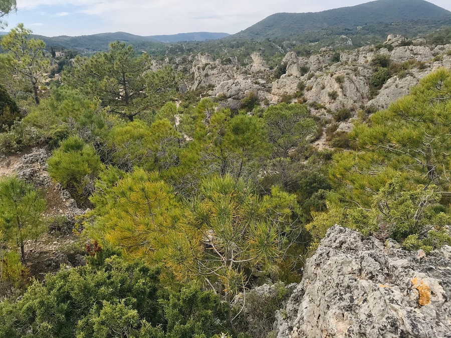 randonnée près de montpellier