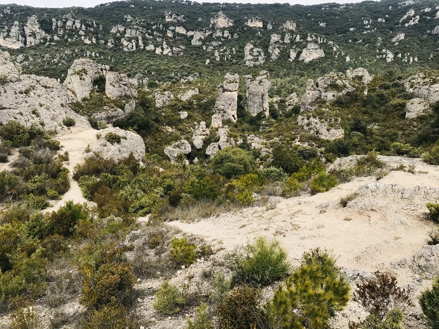 que faire autour de montpellier