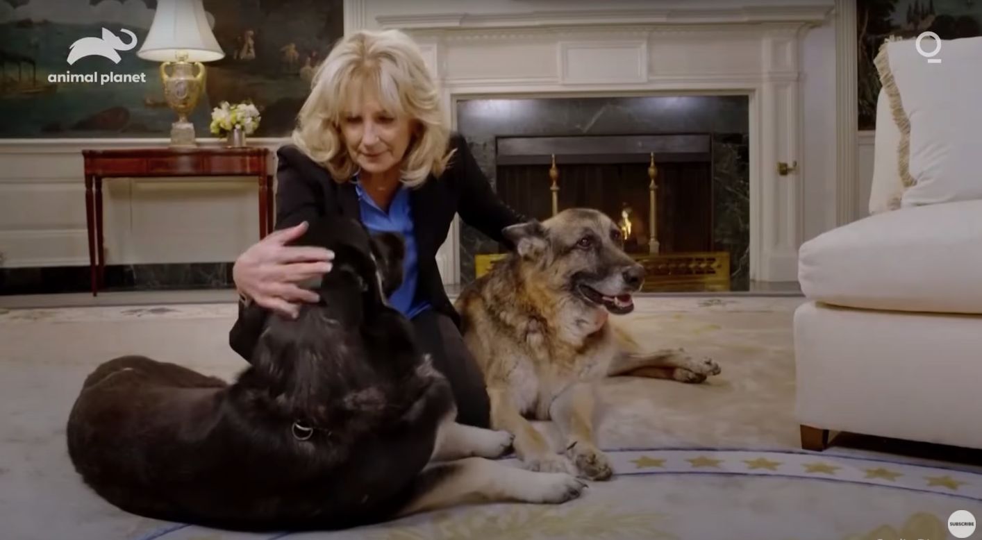 Champ, le chien de Joe et Jill Biden, décède à 13