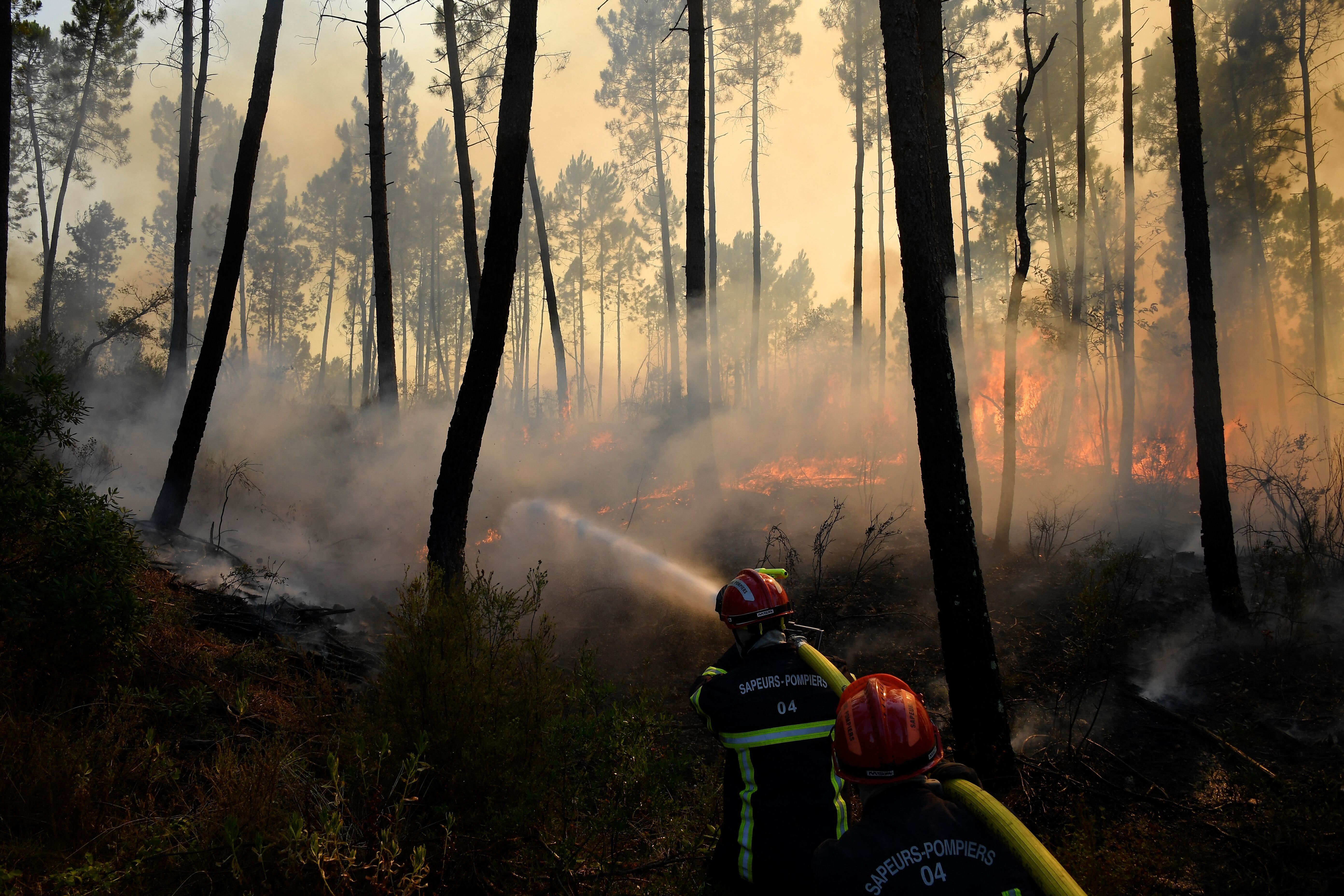Les pompiers travaillant sur un feu dans une forêt à Vidauban (Var), le 18 août