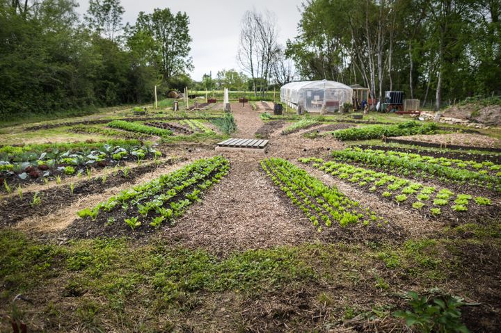 Nous avons fait le constat avec Loaris, notre jardin en permaculture, qu’il est possible de produire nous-mêmes nos légumes, sans aucun intrant.