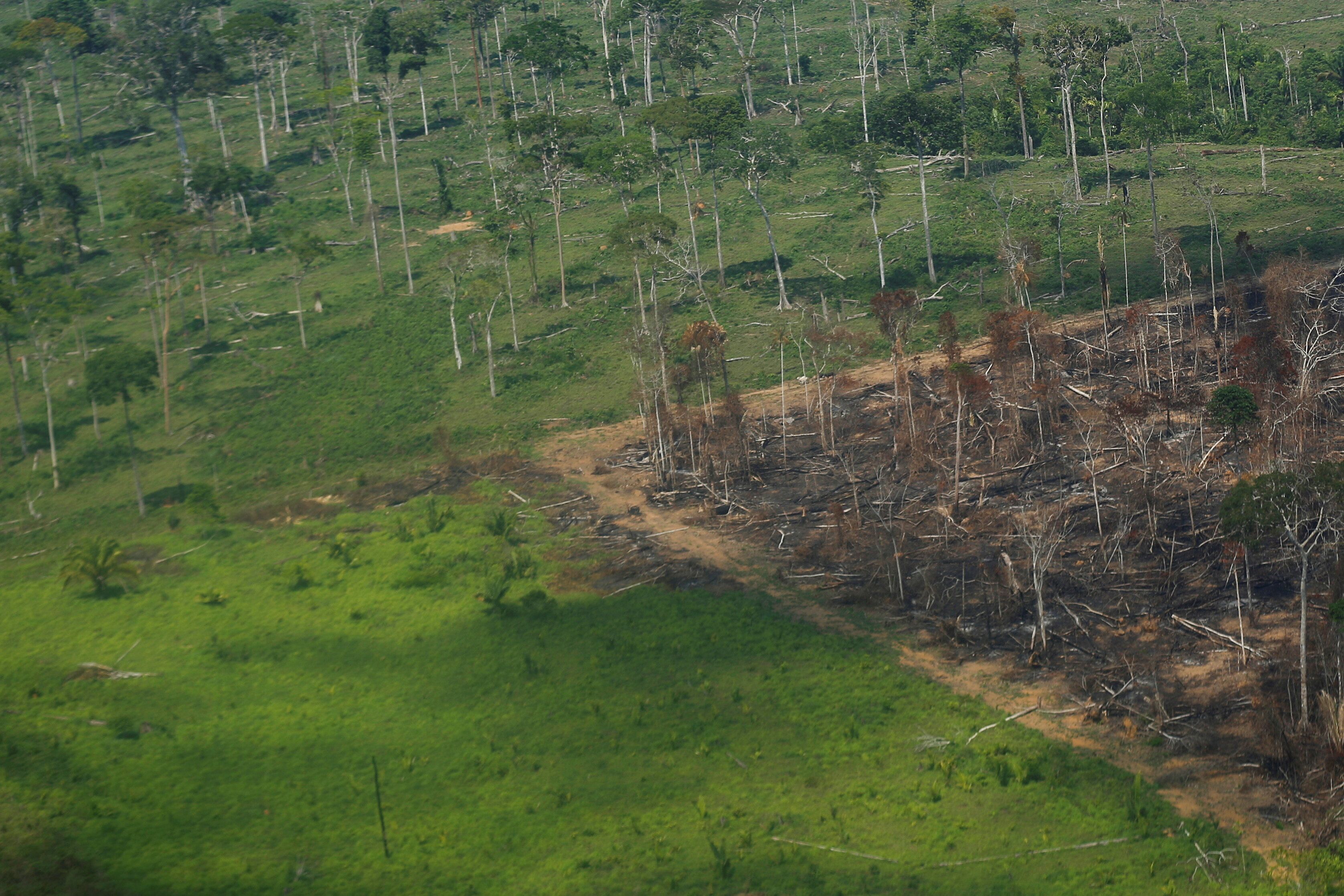 Une vue aérienne d'une parcelle déboisée de la forêt amazonienne dans l'État...