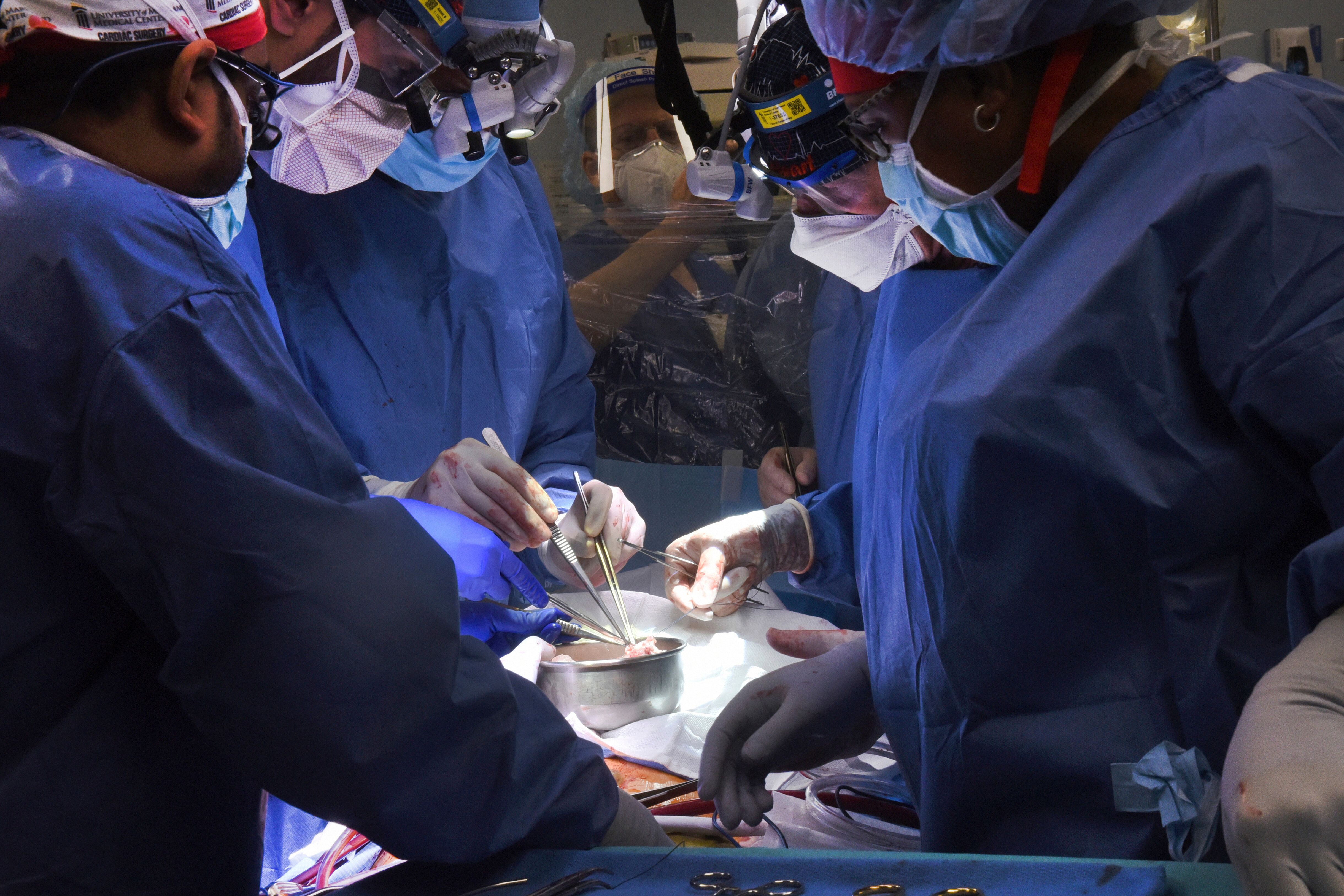 Pour la 1re fois, des chirurgiens ont réussi à greffer un coeur de porc sur un humain (photo...