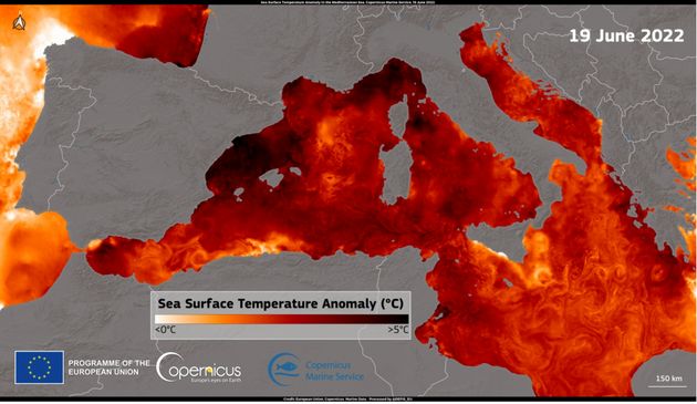 Certaines parties de la Méditerranée sont plus chaudes de plus de +5°C que la