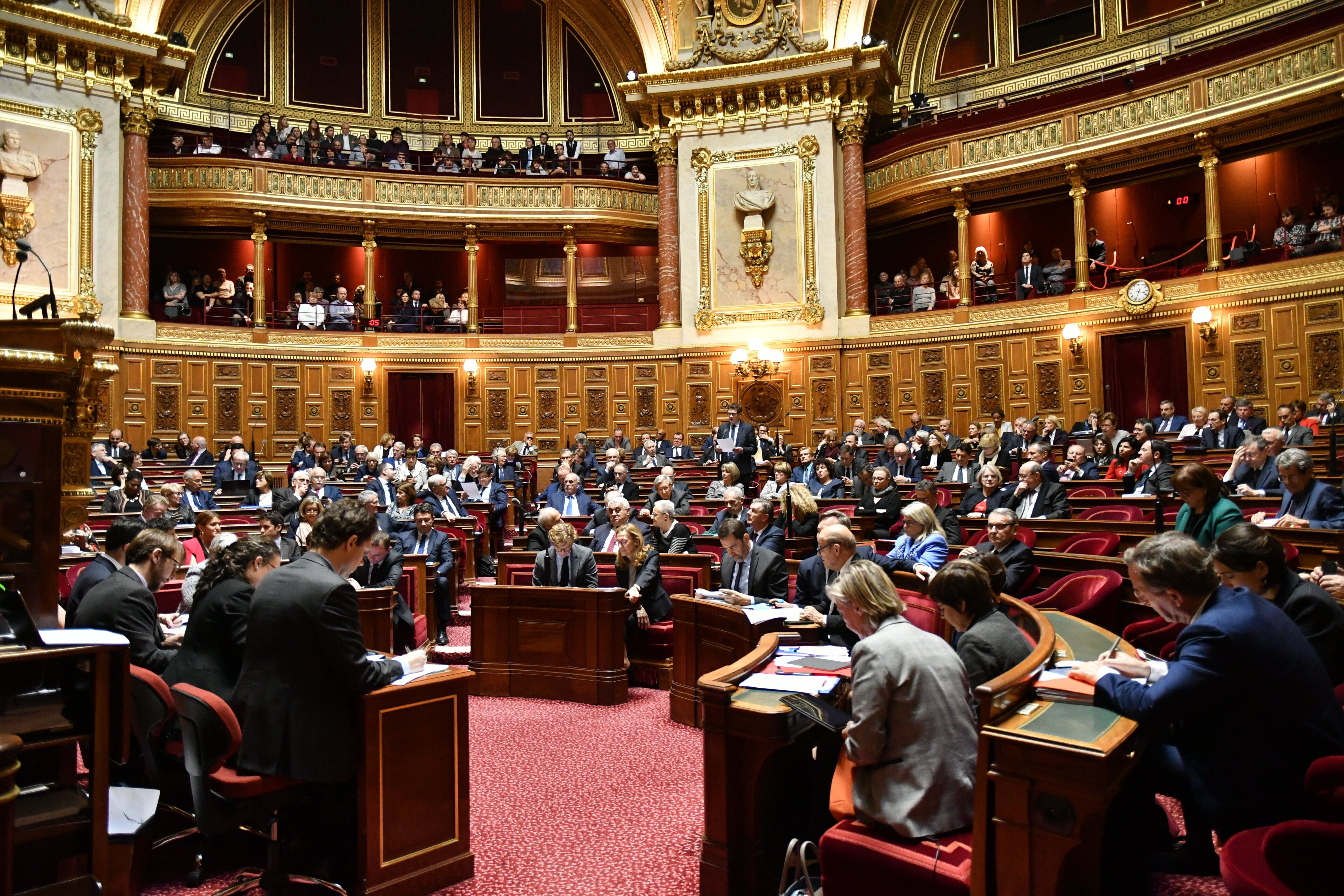 Au Sénat, à Paris, le 21 mars 2019 (image