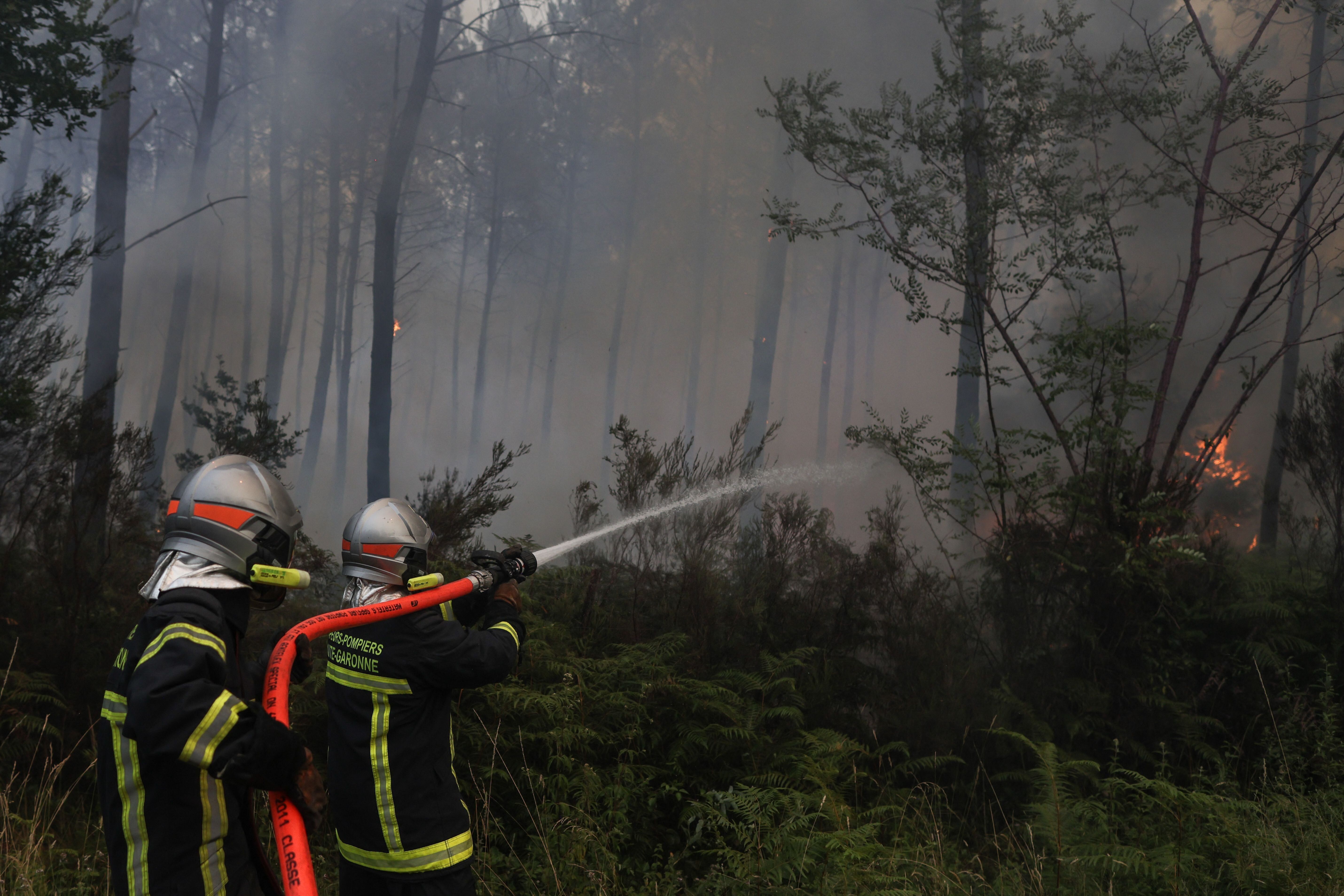 Des pompiers tentant de maîtriser un incendie de forêt près de Louchats en Gironde,...