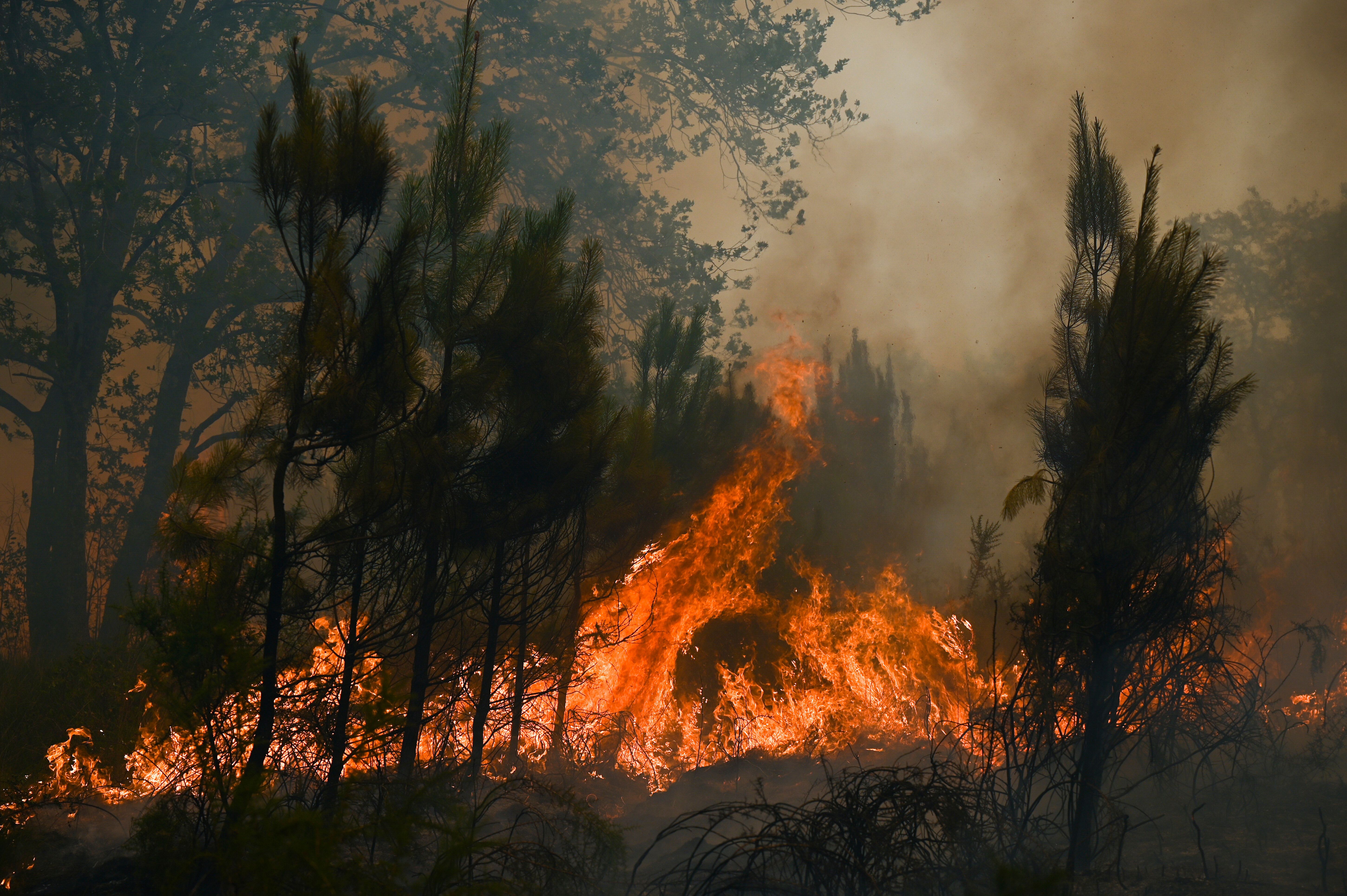 Les flammes s'étendent lors d'un incendie de forêt près de Louchats, à 35...