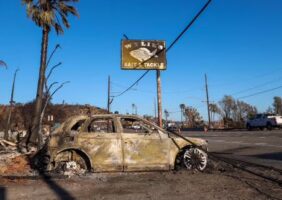 Incendies à Los Angeles : origine humaine, pas naturelle.